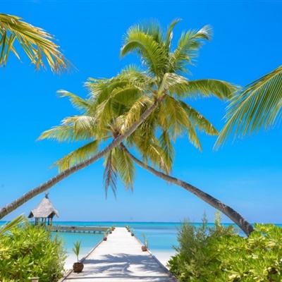 购彩中心welcome入口官方版