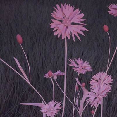 宝威体育官方app下载