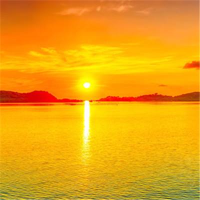 波胆app官网下载手机版