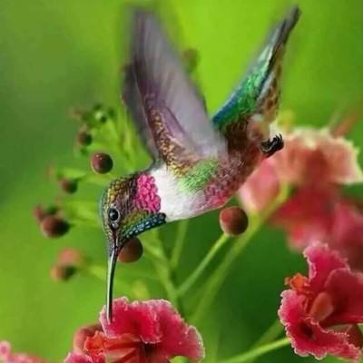 BET体育365投注官网app下载