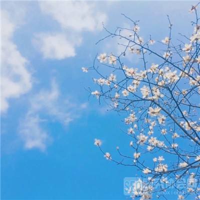 开元·appapp下载