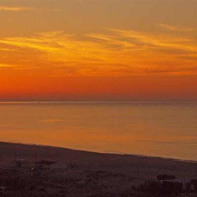 bte365真正的网站app下载