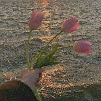 上海麻将手机app下载