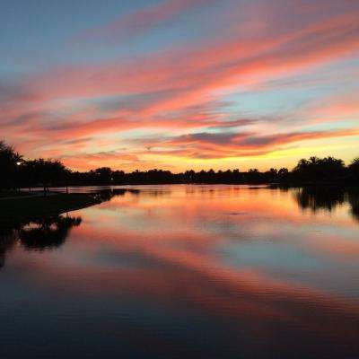 Bsports网页版截图