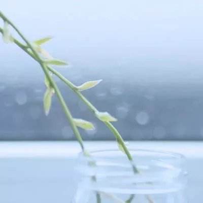 金沙app下载官网